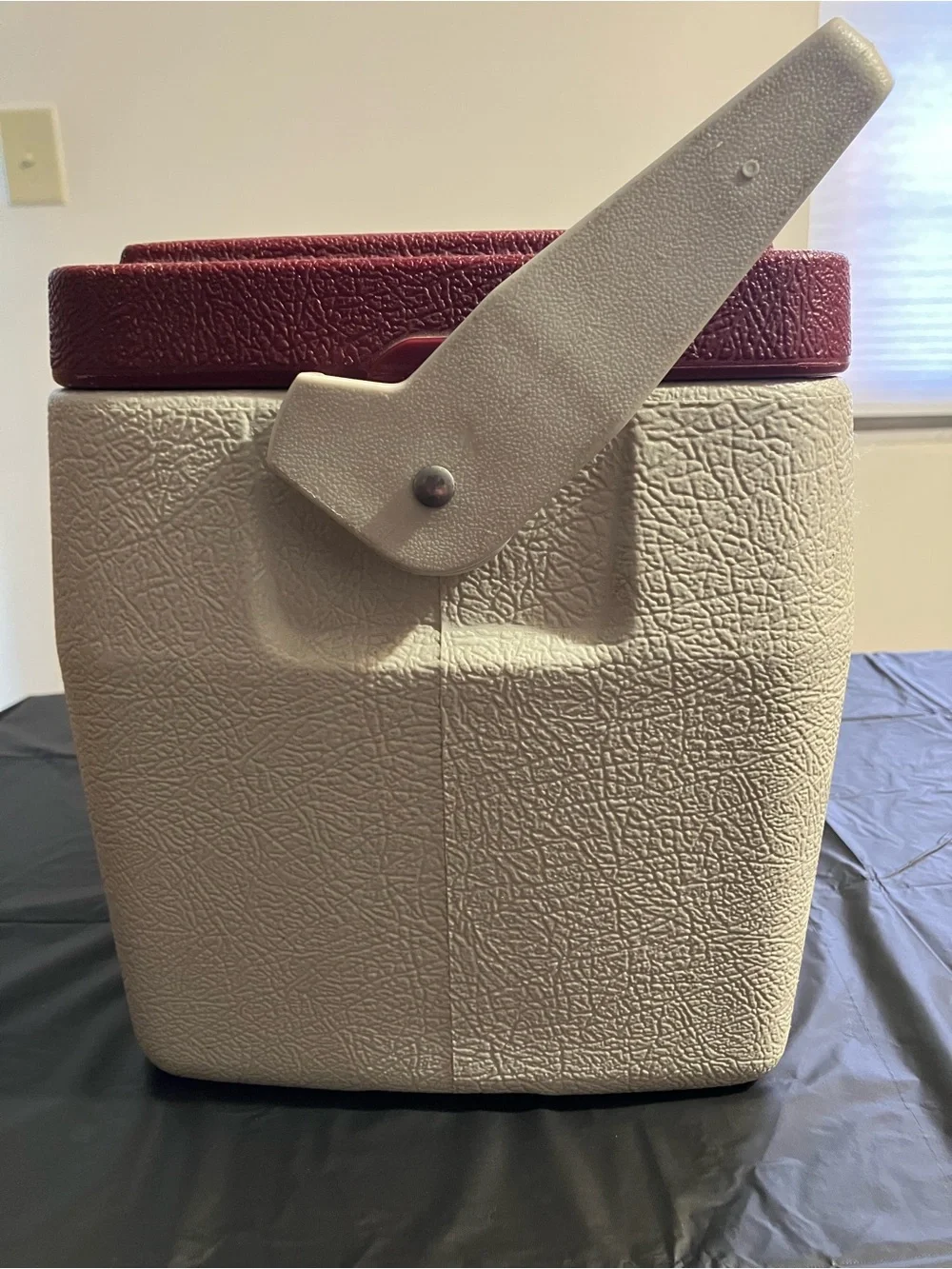 Coleman Two-Tone Personal 8 Cooler in Red and White
